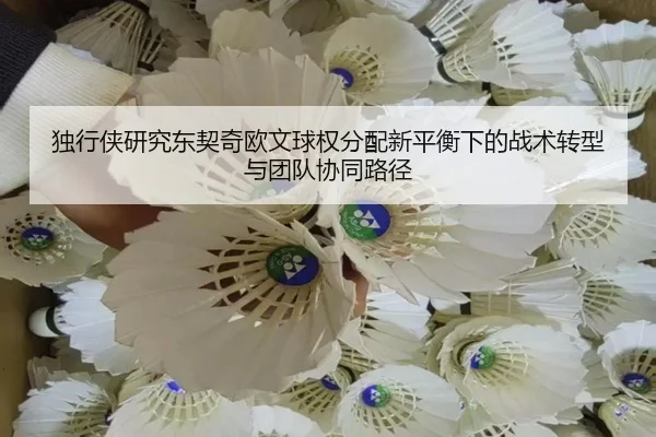 独行侠研究东契奇欧文球权分配新平衡下的战术转型与团队协同路径